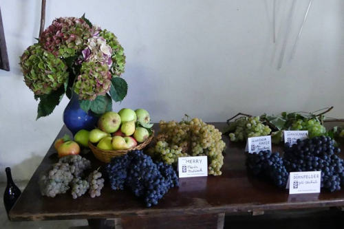 Výstava ovoce, zeleniny a&nbsp;květin 15.&nbsp;- 16.&nbsp;9. 2018